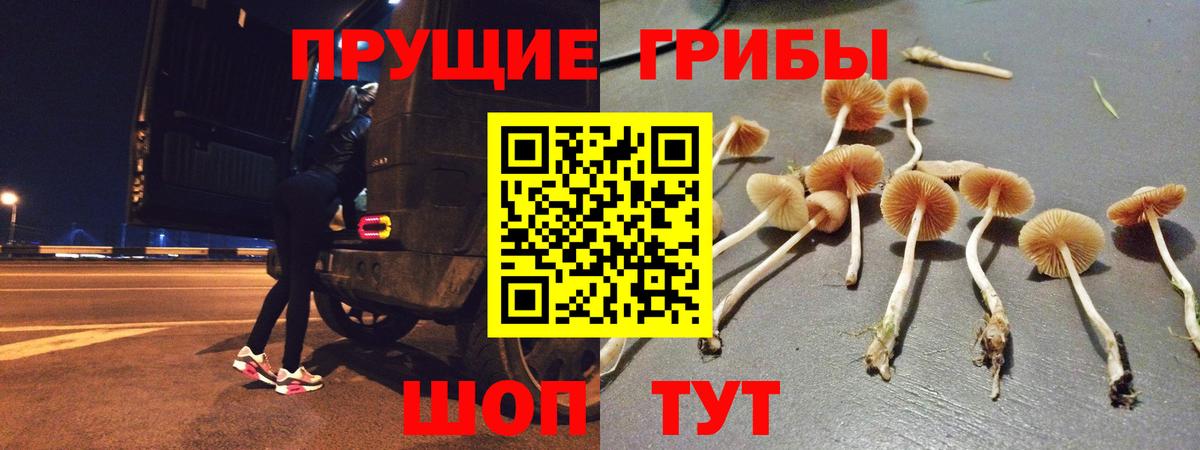 дарнет шоп  Вход с VPN  Воскресенск  Псилоцибиновые грибы мухоморы 
